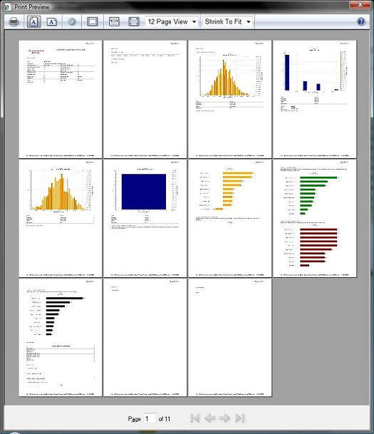 图：生成的 Summary Risk Report HTML 页面